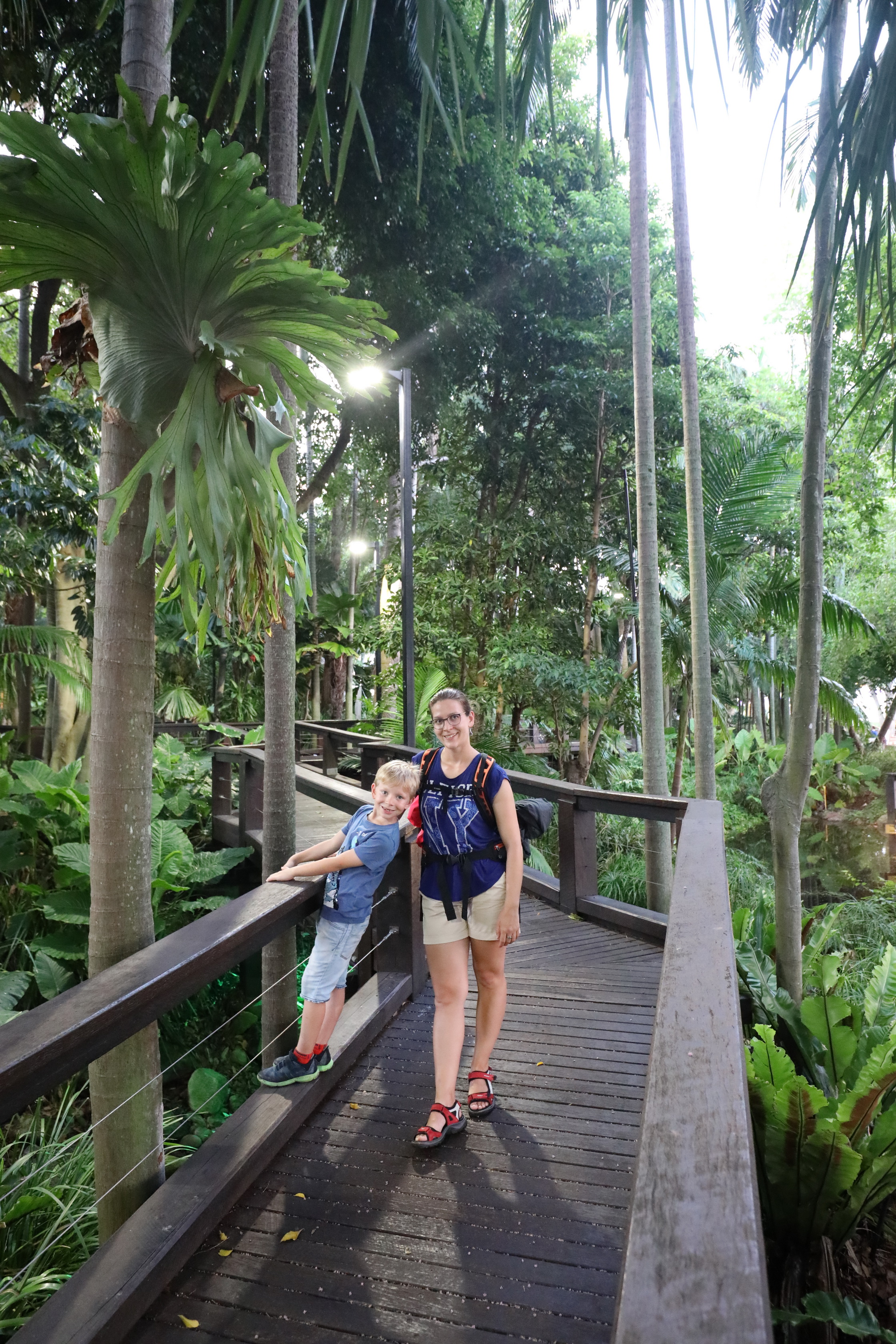 Rainforest Walk bei den South Bank Parklands